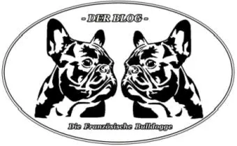 Banner französischer Bulldoggen Blog