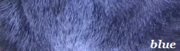 Bildausschnitt das eine französische Bulldogge mit der Fellfarbe Blue zeigt