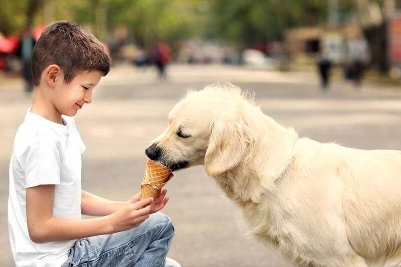 ein Hund schleckt am Eis eines Kindes