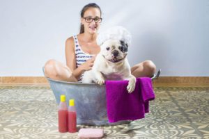 eine Frau badet mit ihrer franzoesischen Bulldogge