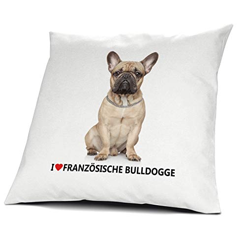 Kissen mit französischen Bulldoggen Motiv