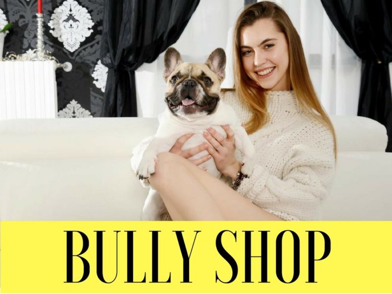 Bully Shop