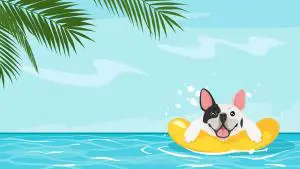 Bullys schwimmen schlecht