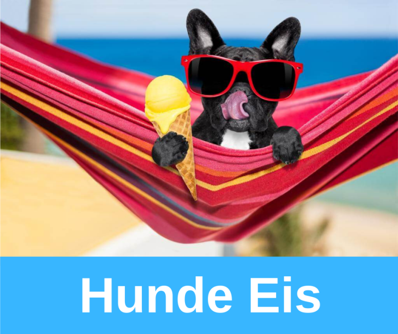 ᐅ der grosse hunde eis guide franzosische bulldoggen blog