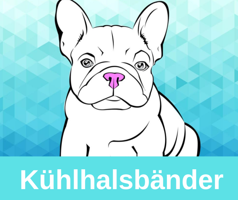 Kühlhalsbänder französische Bulldoggen