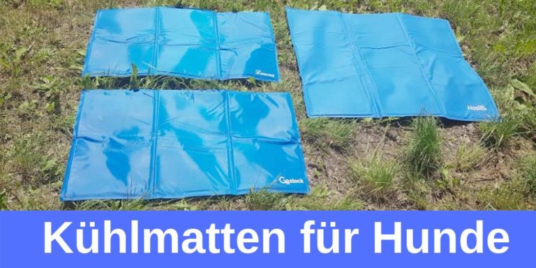 Kuehlmatten fuer Hunde › Französische Bulldoggen Blog