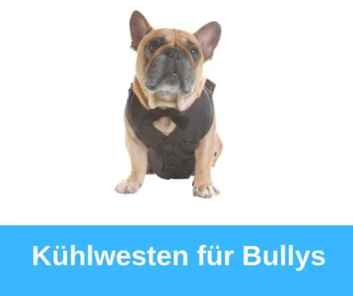 Kühlwesten für französische Bulldoggen