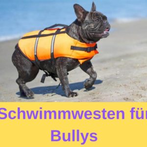 Schwimmwesten für Bullys