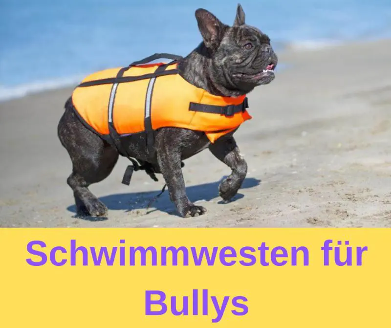 Schwimmwesten für Bullys