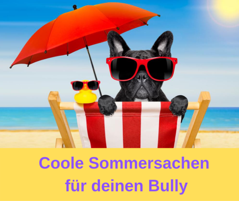 Sommersachen Bully