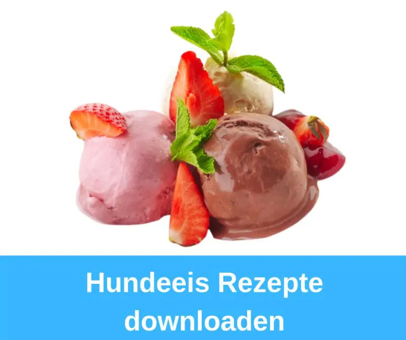 Hundeeis Rezepte downloaden