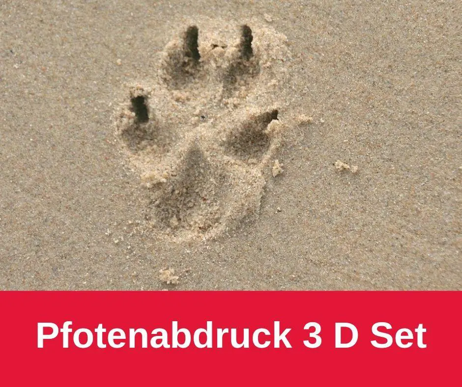 Pfotenabdruck 3 D Set
