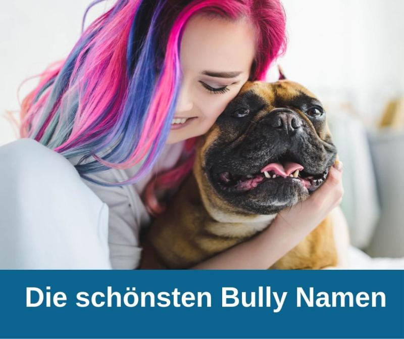 Die schönsten Namen für französische Bulldoggen