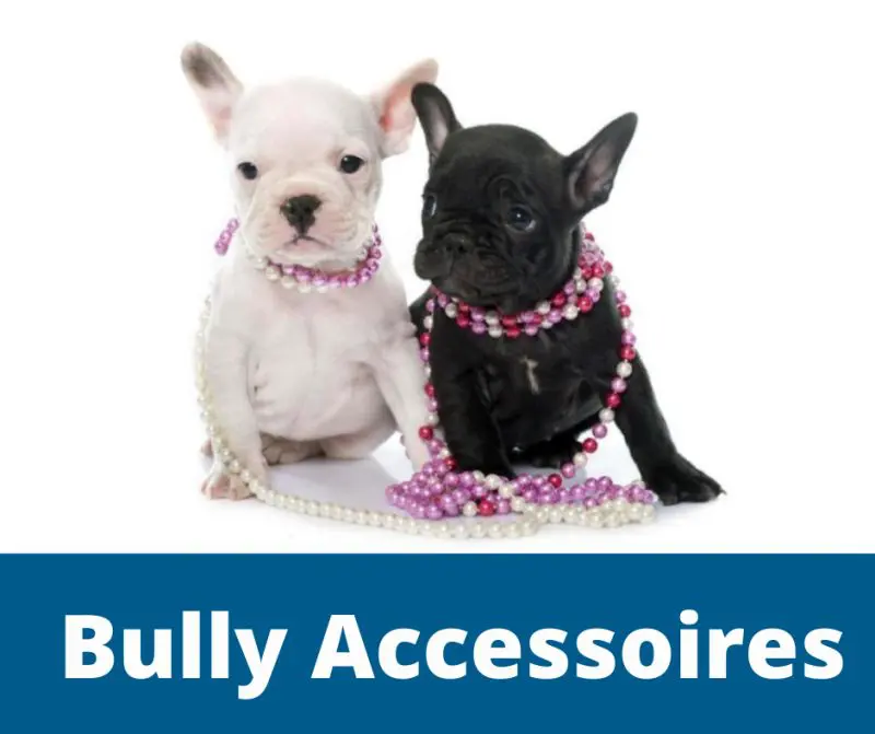 Bully Accessoires