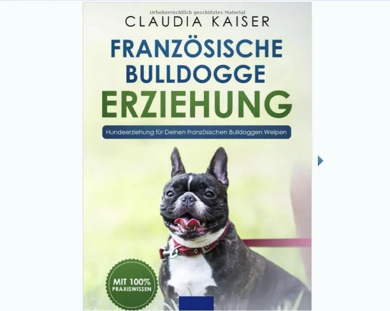 Erziehungsratgeber für die Französische Bulldogge