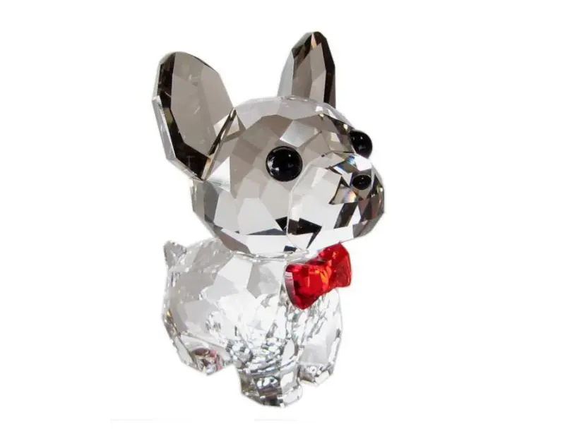 Französische Bulldogge Swarovski Welpe