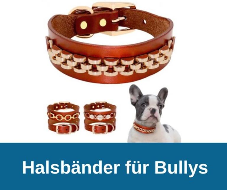 Leder-Halsband Für Französische Bulldogge – Mit Bully-Applikation, Verstellbar, Schwarz-rosa (3 Größen)