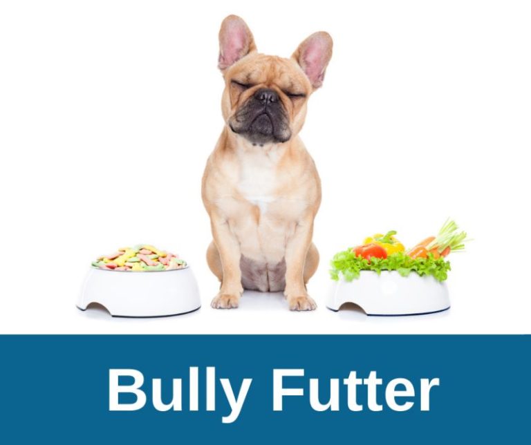 ᐅ Französische Bulldogge welches Futter ist das Beste