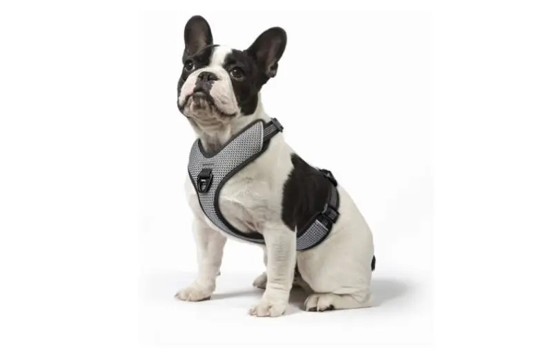 No Pull Geschirr für Französische Bulldoggen