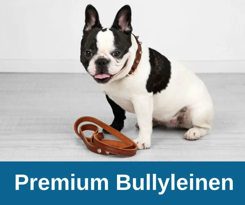 Premium Bullyleinen