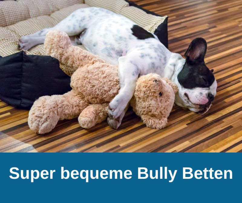 Super bequeme Bully Betten