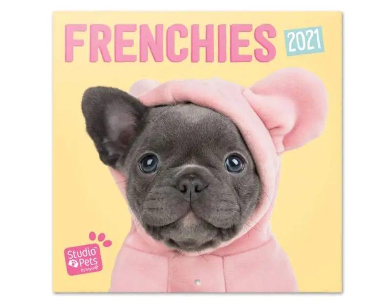 Wandkalender Frenchies 2021