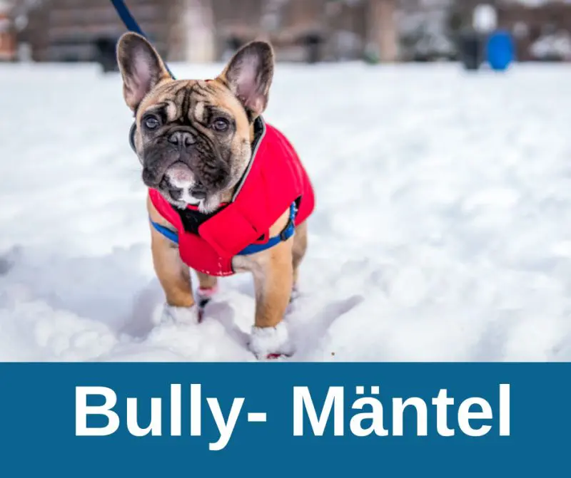 Hundemäntel für Französische Bulldoggen